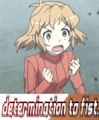 Determination to fist